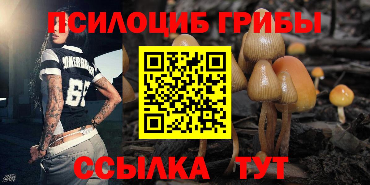 Псилоцибиновые грибы Magic Shrooms  Вход с VPN  Люберцы 